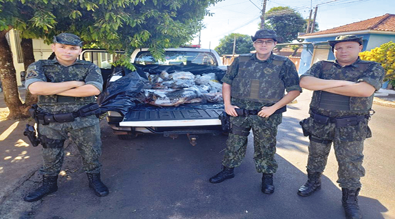 Os 200 quilos de peixes apreendidos em Cajuru foram doados a entidades de Ribeirão Preto