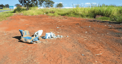 Prefeitura retirou todos os resíduos descartados irregularmente no acostamento da rodovia