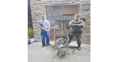 Flagrante por pesca ilegal no rio Pardo