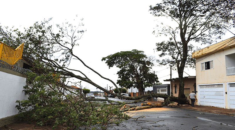 Tempestade furiosa deixou rastro de destruição em Cajuru