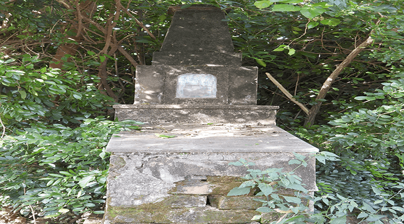 Alguém tem que fazer alguma coisa.