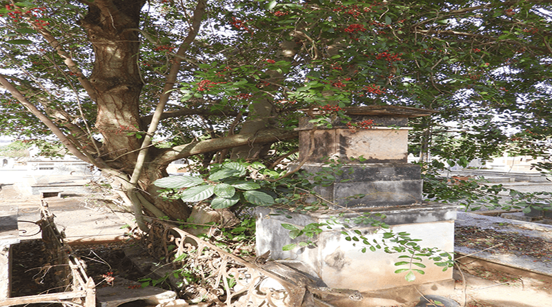 Uma pena, porque ao continuar esta situação continuaremos a ver parte da história das famílias que são contadas a partir destas catacumbas vão se perdendo diante dos nosso olhos