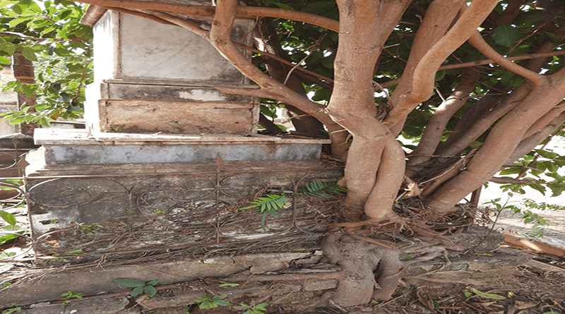 É uma judiação o que ali esta acontecendo.