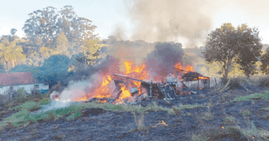 Fogo deixou rastro de destruição na zona rural de Cajuru